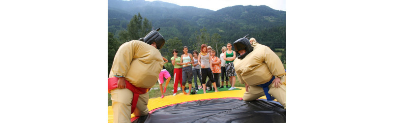  Sportliche Studenten (a) gesucht Singen (Hohentwiel) 