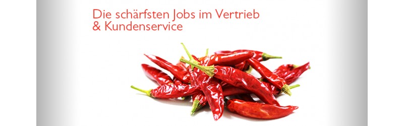 Studentenjob im Büro - Berlin - Vertrieb & Kundenservice 